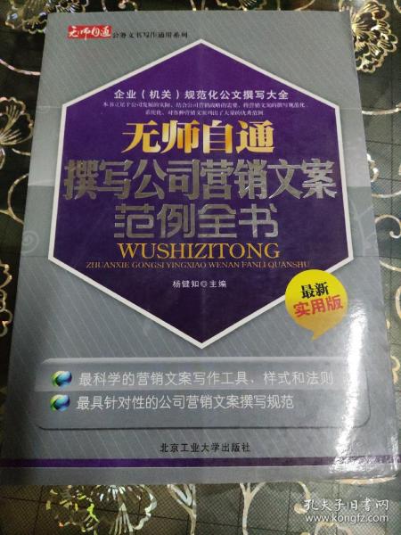 无师自通撰写公司营销文案范例全书（最新实用版）