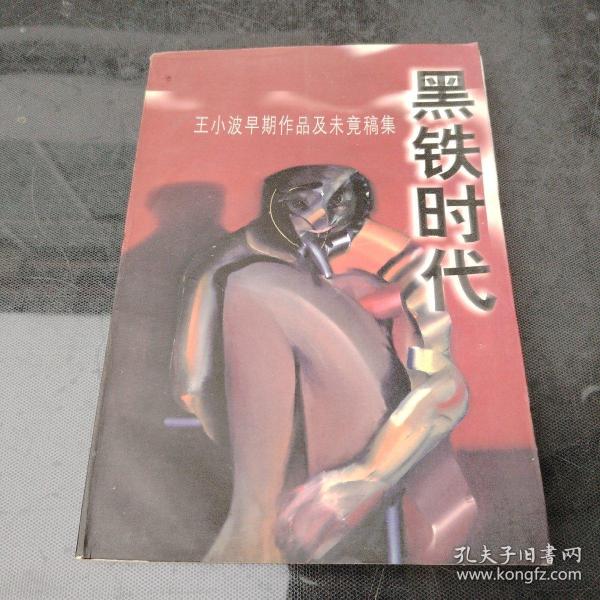 黑铁时代：王小波早期作品及未竟稿集