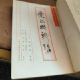 《爱的思辩》-中国钢笔书法系列丛书