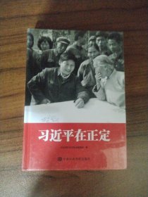 习近平在正定精装