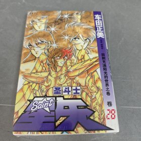 圣斗士星矢 28：回到充满阳光的世界之卷