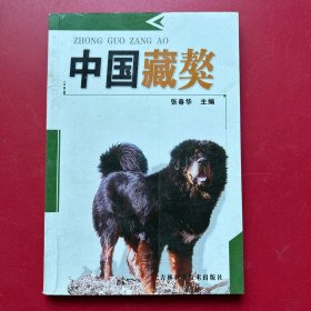 中国藏獒