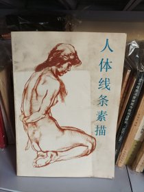 人体线条素描