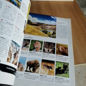 孤独星球2013年5月月号（ 潜入碧蓝大海）