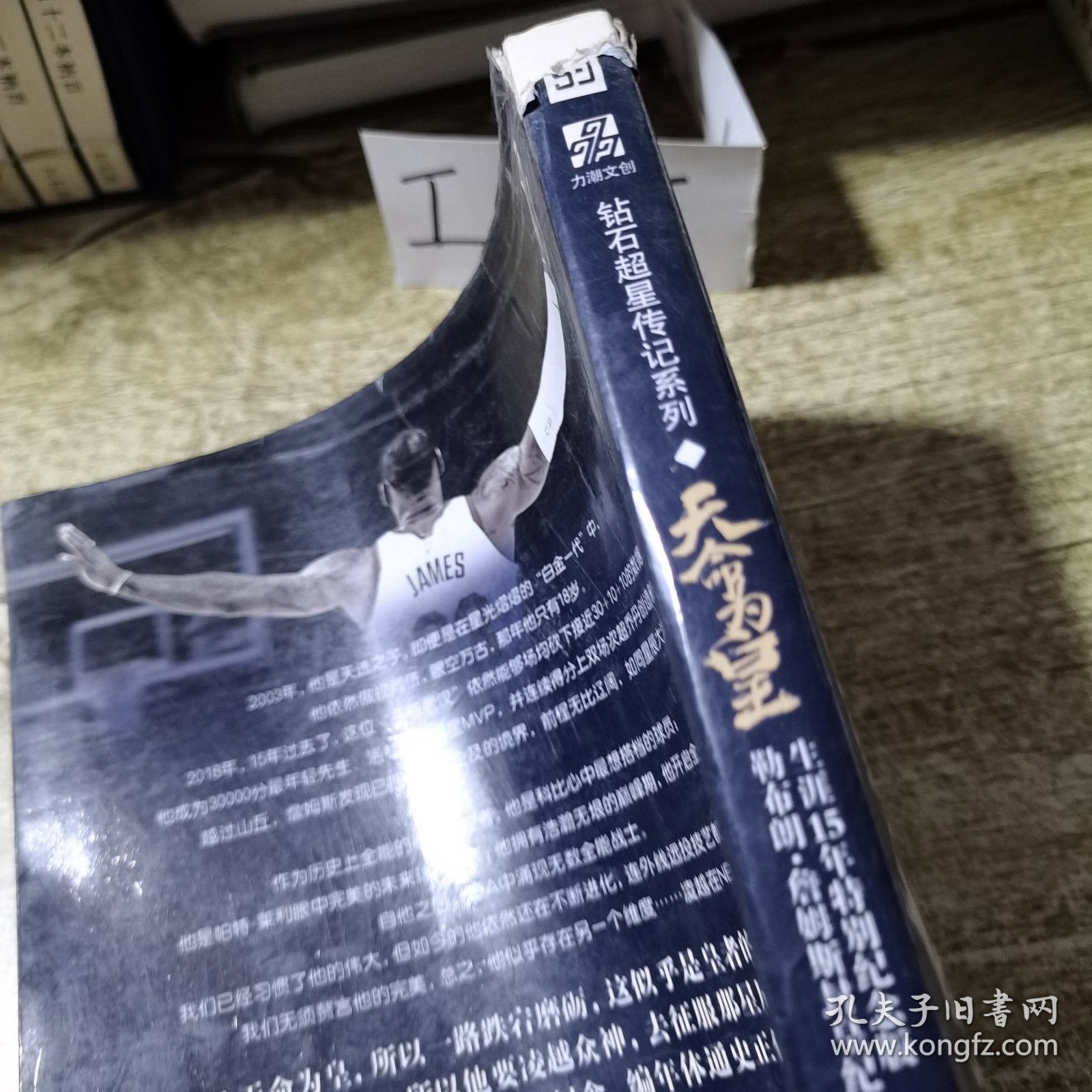 天命为皇：勒布朗·詹姆斯封皇纪传