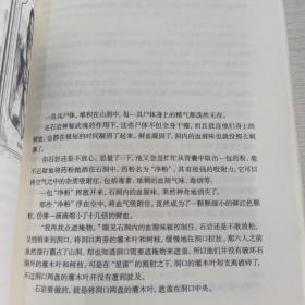 杀神1 脱胎换骨