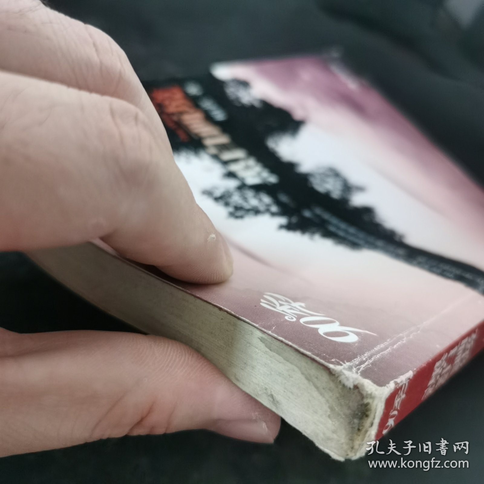 黑白画境：90后的追梦宣言