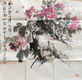 张家会牡丹