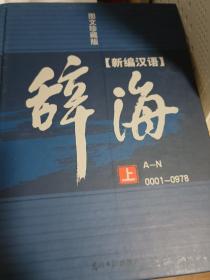 新编汉语辞海:图文珍藏版