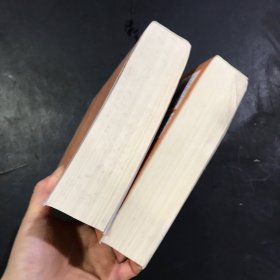 红楼梦（上下册）