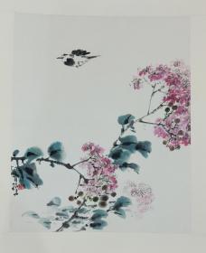 【杜振华】陕西著名实力派画家，康师尧入室弟子，西安中国画院画家、西安美协理事、陕西花鸟画理事，西安电子科技大学研究生院导师，作品曾入展第九届全国美展（优秀奖）、中国国家画院第一届作品展、全国第一届工笔画大展