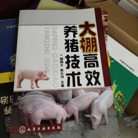 大棚高效养猪技术