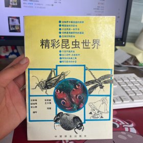 精彩昆虫世界