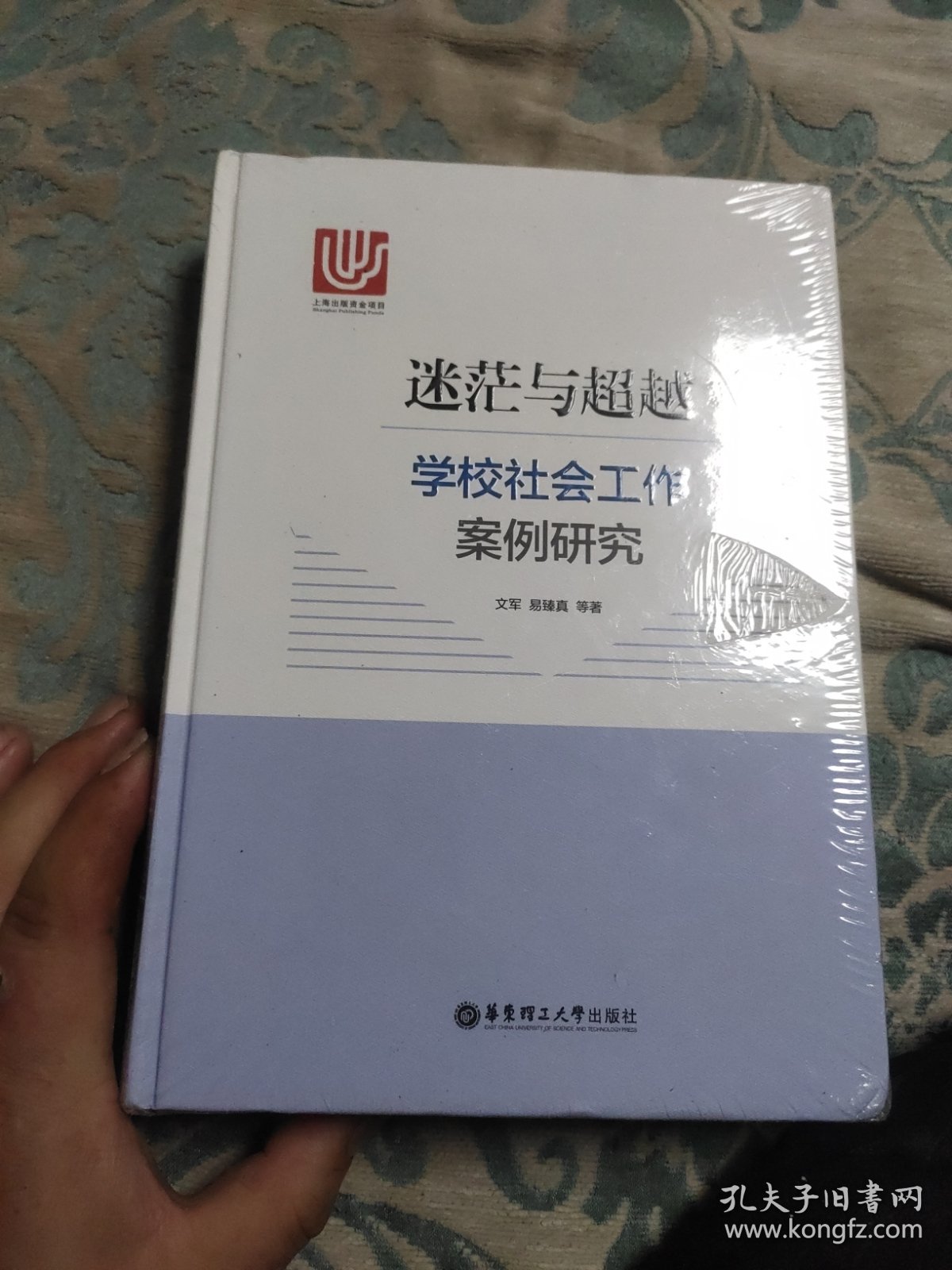 迷茫与超越：学校社会工作案例研究