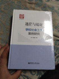 迷茫与超越：学校社会工作案例研究