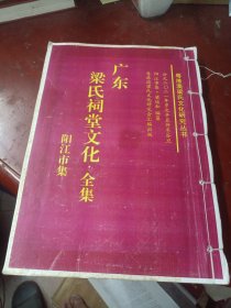 《广东梁氏祠堂文化-全集 ：阳江市集》