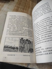 《怎样画水粉画》（工农兵美术技法丛书 ）79年一版一印 附彩图22幅