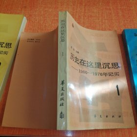 历史在这里沉思 1966-1976年记实 123 全3册合售