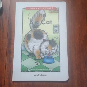 英文彩色绘本分级阅读第3部（LEVELED BOOK STAGE 3  ）：大猫（The Big Cat）