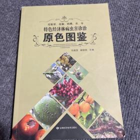 皮胎果、花椒、核桃、杏、枣特色经济林病虫害诊治