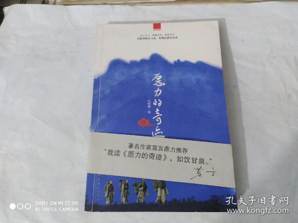 愿力的奇迹：一本安心、净心的心灵读物，一剂降心火、去浮躁的医心良药