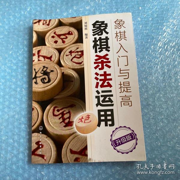 象棋入门与提高：象棋杀法运用（升级版）