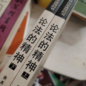 论法的精神（上下）
