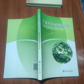 甘肃药用植物栽培