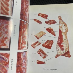 肉类工业手册