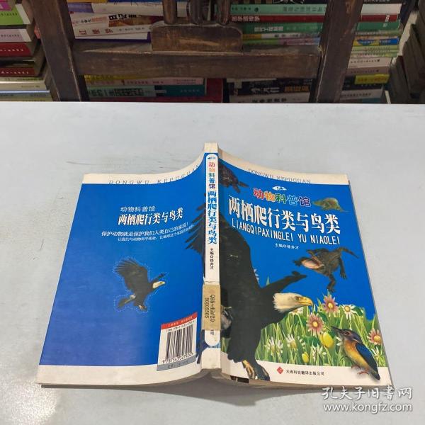 动物科普馆：两栖爬行类与鸟类