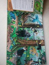 ANIMALS LIFE-THE-FLAP BOOK 动物翻翻书