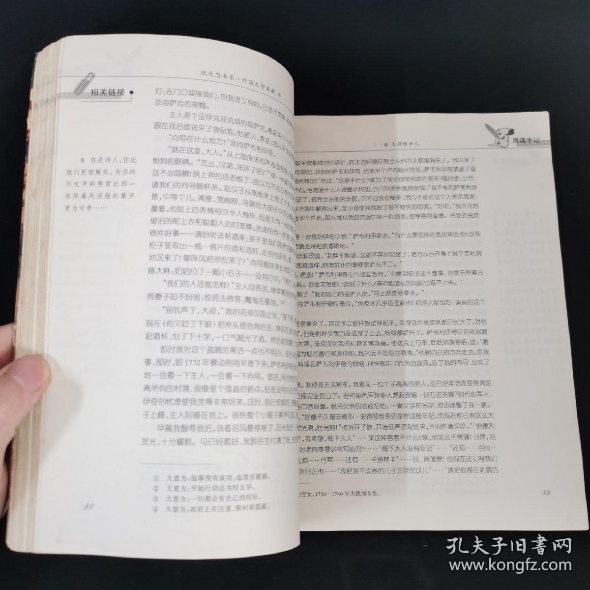 纸生态书系·外国文学典藏：上尉的女儿