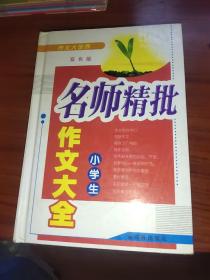 名师精批 小学生作文大全