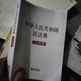 中华人民共和国民法典（大字条旨版）2020年6月