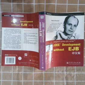 expert one-on-one J2EE Development without EJB 中文版