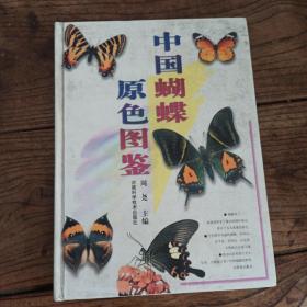 中国蝴蝶原色图鉴
