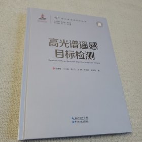 高光遥感科学丛书：高光谱遥感目标检测