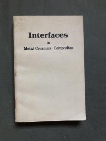 Interfaces in Metal-Ceramics Composites