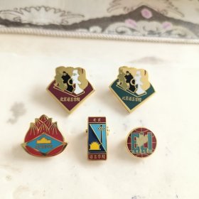 北京语言学院校徽徽章一套5枚