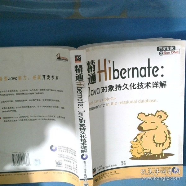 开发专家之SunONE精通HibernateJava对象持久化技术详解