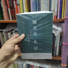 魏晋史札记：涨姿势的精品魏晋史