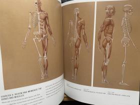 现货 Basic Human Anatomy基本人体解剖学 艺术家必备的视觉指南英文原版精装