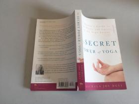 The Secret Power of Yoga: A Woman's Guide to the Heart and Spirit of the Yoga Sutras（《瑜伽的神秘力量》）