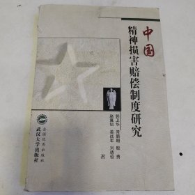 中国精神损害赔偿制度研究