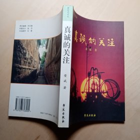 真诚的关注（新时代文丛）