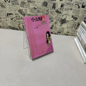 小女贼的细软