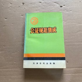 公证规范集成