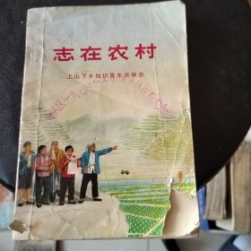 志在农村1974