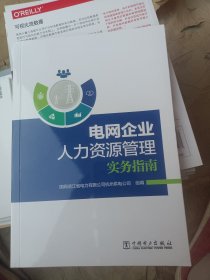 电网企业人力资源管理实务指南