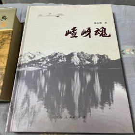 嵖岈魂 精装